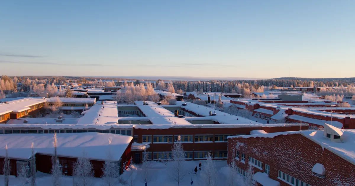 Luleå University of Technology 2011